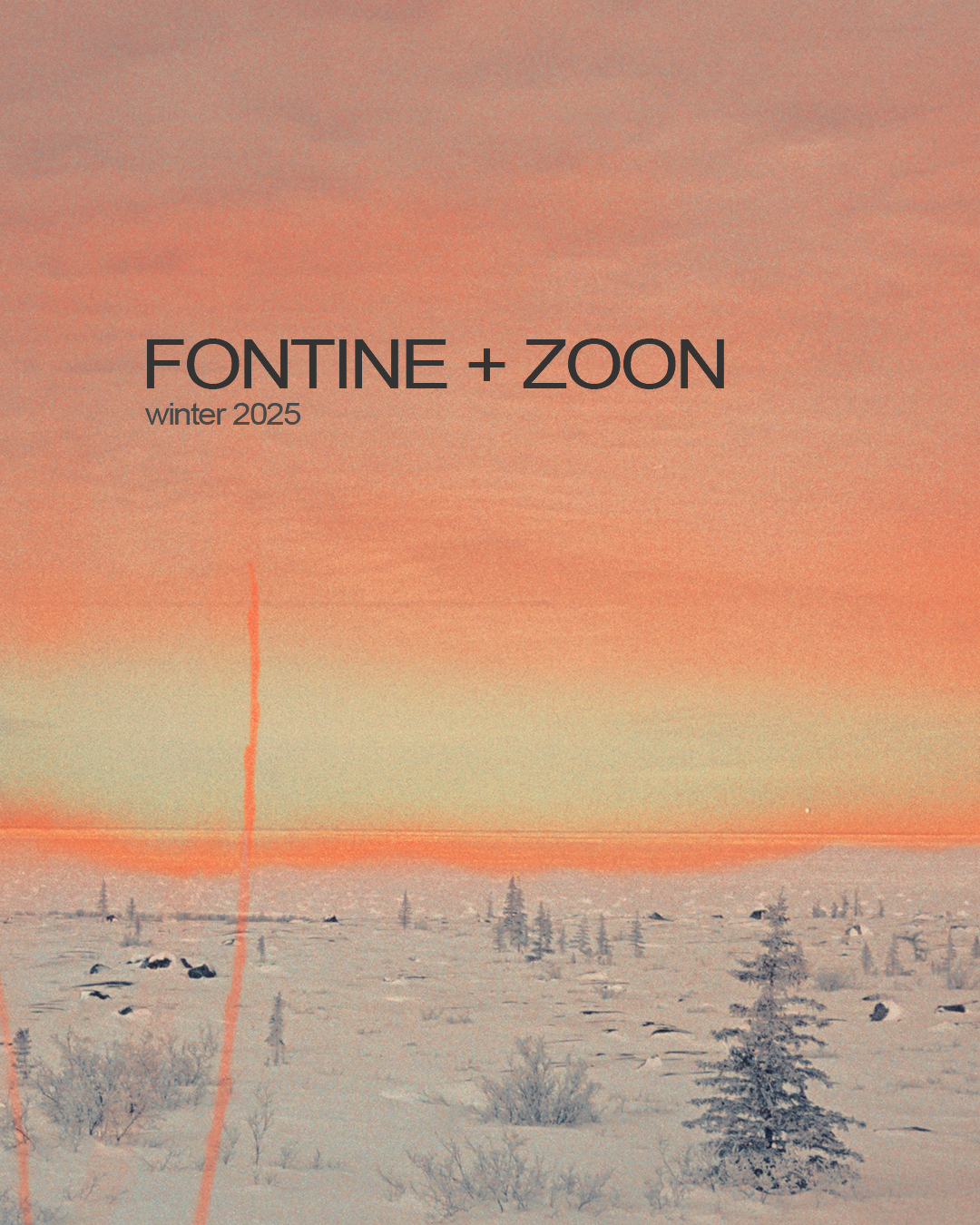 FONTINE + ZOON