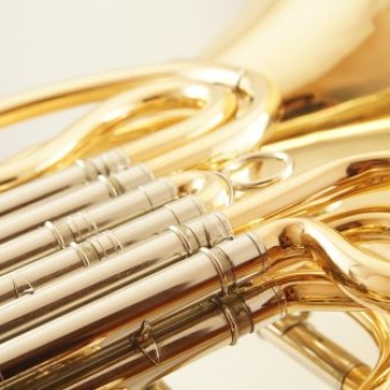 Meet the Horns! Regina Musical Club