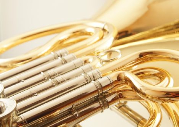 Meet the Horns! Regina Musical Club