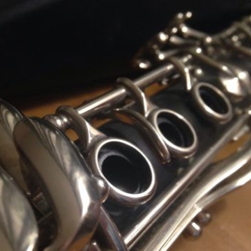 Meet the Woodwinds! Regina Musical Club