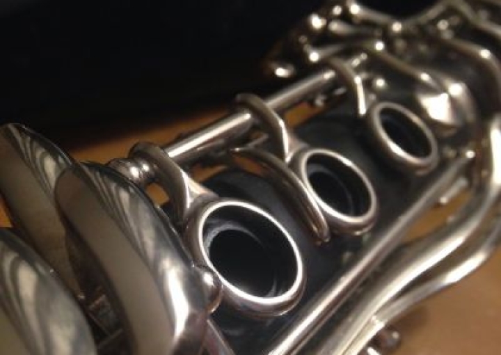 Meet the Woodwinds! Regina Musical Club