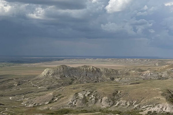 Songs 4 Nature Showcase